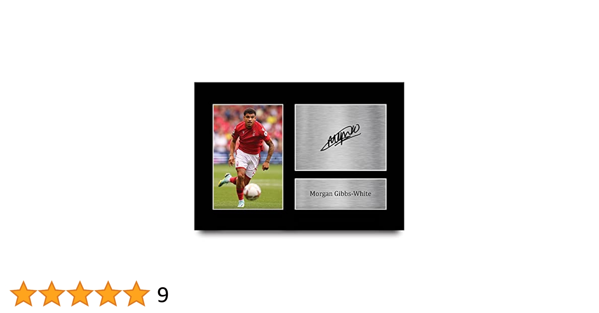 41tfRDPlncL.jpg_BO30,255,255,