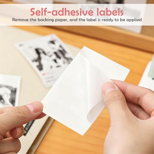 Papier d'impression thermique B21 Pro pour notes et mémos créatifs