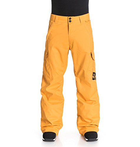 DC Men's Banshee Pant