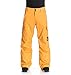DC Men's Banshee Pant