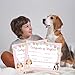 Pet Adoption Certificate - Adopt A Dog Certificate for Girl - Puppy Adoption Party Decorations - Puppy Birthday Party Favors - Lets Pawty Party Supplies, 10 Adoption Certificates (CC02)