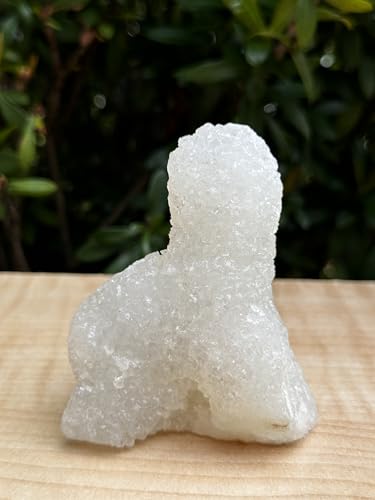 Image of GAF TREASURES Chalcedony & Crystal Quartz Stalactite 3-8 inch, Natural Quartz on Chalcedony Stalactite Specimen (0.5-0.75 lb)
