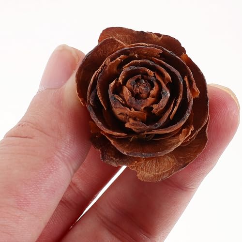 Flores naturales secas para manualidades 10 piezas miniatura 4