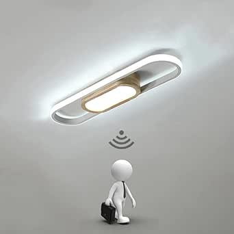 HOTUT Plafoniera LED A Batteria Con Sensore Di Movimento E Telecomando, 3000K-6000K Dimmerabile, Ricaricabile USB, 4500mAh - 2