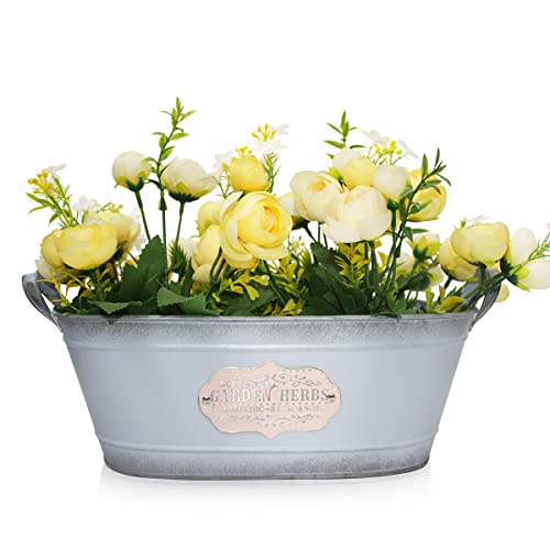 Ashlyric Vintage Style Metal Planters, Rustic Country Style Flower Pot - Oval Shabby Chic Succulent Container with Handles - Indoor and Outdoor Decor