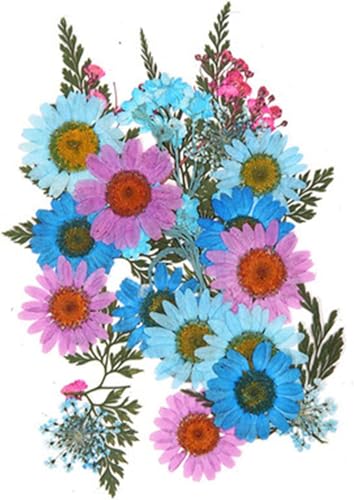 Flores secas para manualidades DIY y decoración miniatura 2
