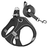 Pettorina per cani di piccola taglia con design riflettente: il design riflettente della striscia di imbracatura per cani o gatti lo rende visibile in condizioni di scarsa illuminazione, migliora la sicurezza quando si cammina di notte. Offri al tuo animale domestico un'esperienza all'aperto molto più sicura e confortevole.
