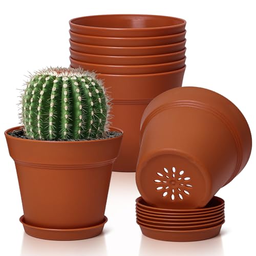 T4U 4 Inch Plant Pots 8-Pack Small Flower Pots with Drainage Hole and Saucer Decorative Nursery Pot Bulk for African Violet Snake Plant Succulent Herb and Plants Indoor (8 Pcs 4 Pots)