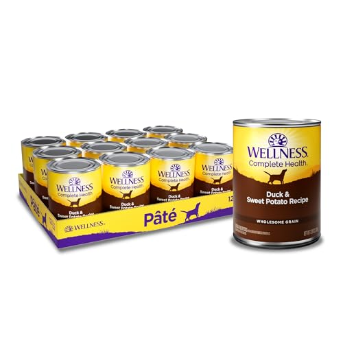 Image of Wellness Complete Health Pate Adult Canned Wet Dog Food, Wholesome Grains, Natural, Duck and Sweet Potato, 12.5 oz, Pack of 12 Cans