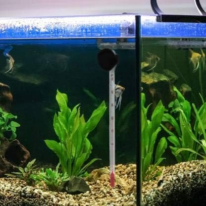 Aquarium Thermometer with Glass Suction Cup Fish Tank Temperature Measuring Device 1