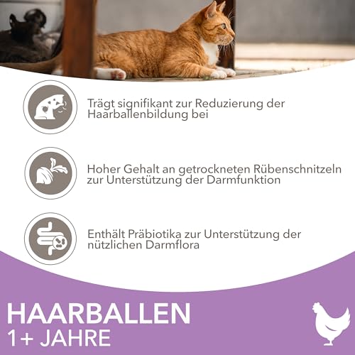 IAMS Anti-Haarballen Katzenfutter trocken mit Huhn - Trockenfutter für Katzen ab 1 Jahr, 3 kg