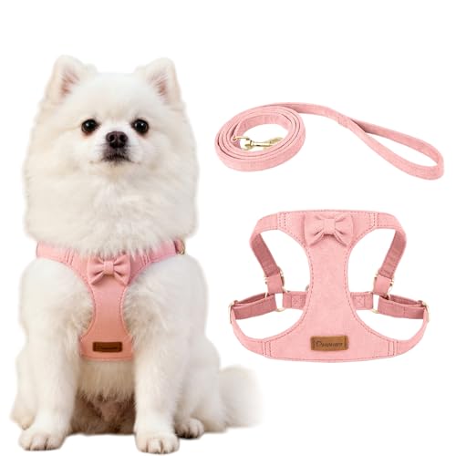 XFSRG Pettorina Cane Anti Trazione Sicuro e Confortevole Regolabile Traspirante Pettorina con Guinzaglio per Piccola Media Taglia Addestrare le Passeggiate(Rosa/S)
