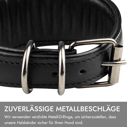FAVPET Echtleder Windhund Halsband mit QR Code Anhänger, Weiches Lederhalsband Hund Breit Whippet Italienisches Windspiel Saluki Lurcher Spanischer Galgo Greyhound Podenco, Hundehalsband Leder (XS)