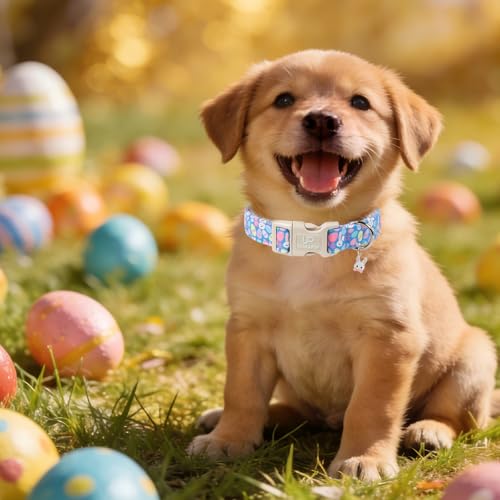 Image of Easter Day Dog Collar, UP URARA PUP Easter Bunny Adjustable Pet Collar with Quick Release, Colorful Rabbits Dog Collars for Small Medium Large Dogs