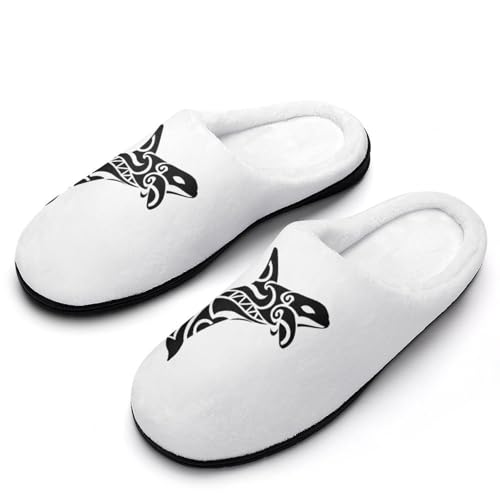 [ZKCASA] Xbp V` A[g [V[Y   qp h  g 􂦂 ~ jp I[V[Yp 11-12i42-43j