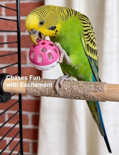 10 Pack Bird Toys with Bells, Safe Plastic Balls for Parakeet Cockatiel Lovebird Small Birds, Exercise & Mental Stimulation - 3