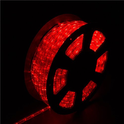 Diophros 100FT Rope Light, LED Strip Lights for Indoor Outdoor Rope Lighting Waterproof Decorative Lighting Backyards Garden and Party Decoration (Red)