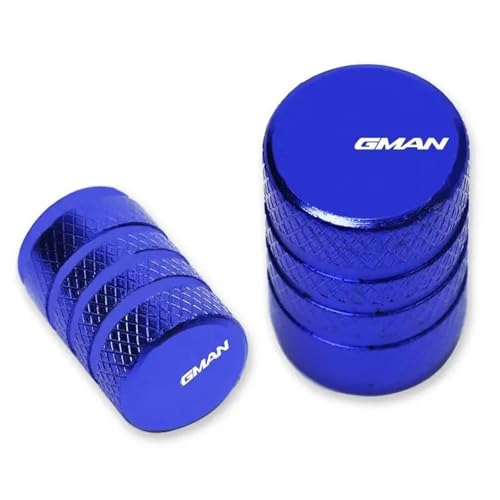 Bouchon de valve pneu moto Suzuki Burgman AN 125 à 650 bleu