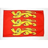 AZ FLAG