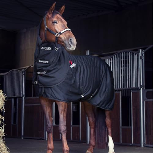 Couverture de cheval FIR-Tech CATAGO 155 cm : régénération par infrarouges - 5