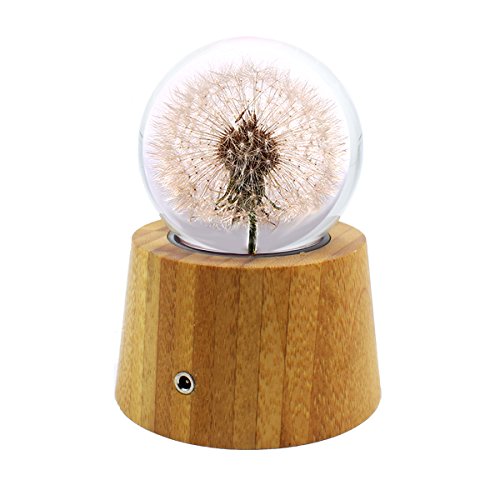Mylifestyle Real specimens dandelion crystal ball with wood LED Base Christmas/Birthday Gift(Warm white)