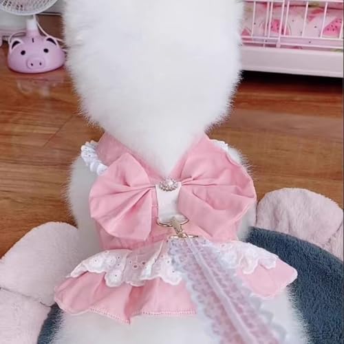 [SeitenFB] Lp n[lX [X{t  ԕ ȒPE{^ [hΉ  ^ ybgp Z[teBxXg L