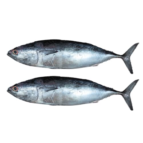 Fresh Tuna Fish Small Whole Cleaned 1 kg Approx.