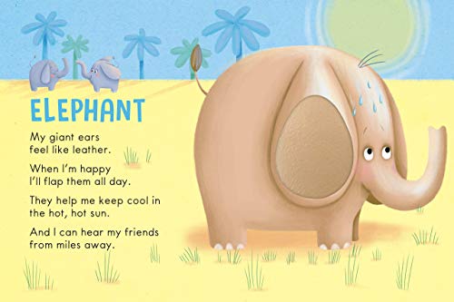 Generic SAN-TE-23 Wild Animals: A Touch And Feel Book thumb #6