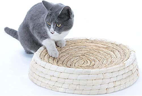 Griffoir réversible pour chat 2 en 1 carton rond 40 cm accessoire chat