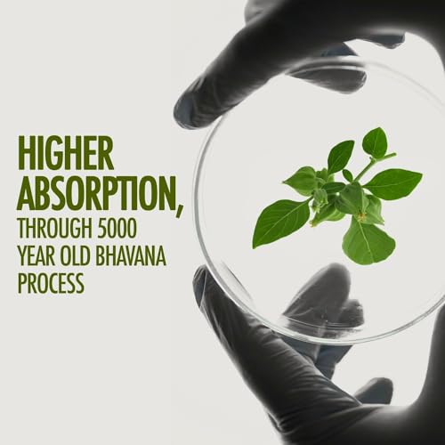 Kapiva Ashwagandha Gold Capsules, 183rd day harvested Potent Nagori Ashwagandha With Gold, Shilajit | Helps in Stress Management, Improve Energy and Stamina | For Men & Women... - Image 5