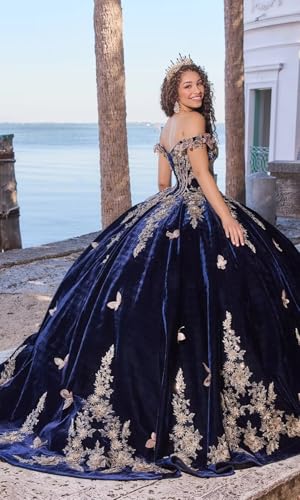 Luxury Velvet Quinceanera Dresses 3D Butterfly Ball Gown Gold Lace Appliques Sweet 16 Dresses with Removable Cape2