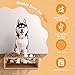 Flexzion Elevated Dog Bowl Stand, 18 Oz, 6-Inch Tall, Stainless Steel, Bamboo, Raised Food and Water Platform, Sanitary, Rustproof, Dishwasher Safe