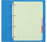 Tabbladen Budget 4-gaats karton 5-delig assorti karton