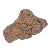GLEAVI Muestra De Meteorito Real De Olivino 2-3 Cm, Ejemplar Científico...