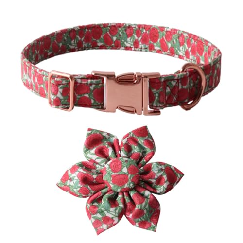 Collier pour chien avec laisse et nœud fleur chic
