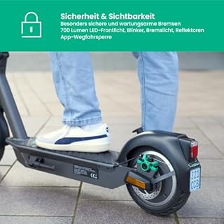 Egret Ey! 6 E-Scooter mit Straßenzulassung – bis 55 km Reichweite, LED-Licht 700 lm, Blinker, Trommel- & Scheibenbremse, 10" Luftreifen, klappbar