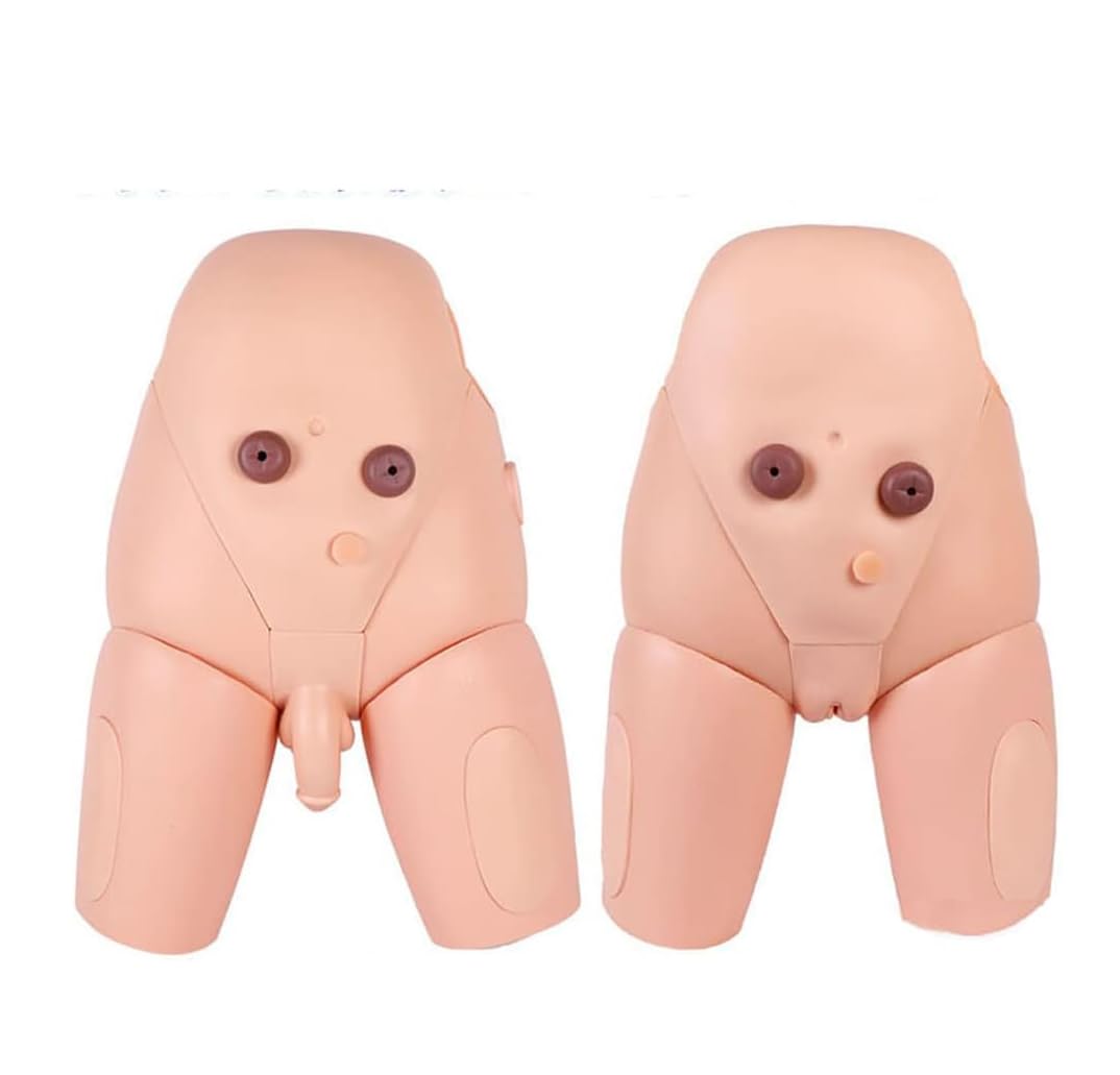 Modèle De Cathétérisme Humain Homme Femme Pratique du Cathétérisme Interchangeable Lavement Enseignement Opération Infirmière Pratique du Cathétérisme Moule Formation Au Cathétérisme