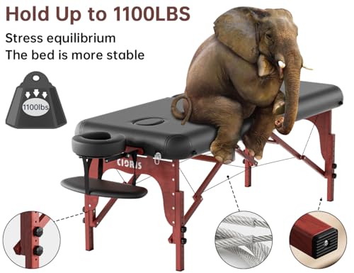 Image of CLORIS 84 inch Professional Massage Table 2 Section Portable Hold Up to 1100LBS
