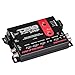 DS18 DBPX200 Digital Bass Processor with Hi to Low Signal Converter & Speaker Emulator, Digital Bass Restoration Processor, 2-Channel Preamp Input/Output, Fully Adjustable Bass