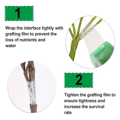 MaoNativey Veredelungsband Grün, 2 Rolle100 m x 2 cm Veredelungsband für Obstbäume,Veredelungsband Dehnbar, Feuchtigkeit Barriere Pflanze Baum reparaturband Transparent Band