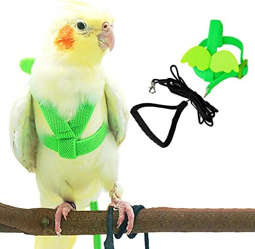Dnoifne Pet Parrot Bird Harness and Leash, Adjustable Training Design Anti-Bite, Bird Nylon Rope with Cute Wing for Parrots, Suitable for Scarlet, Keck, Mini Macaw and Same Size Birds (Green)
