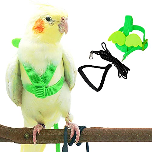 Dnoifne Pet Parrot Bird Harness and Leash, Adjustable Training Design Anti-Bite, Bird Nylon Rope with Cute Wing for Parrots, Suitable for Scarlet, Keck, Mini Macaw and Same Size Birds (Green)