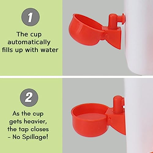 Récipient d'élevage de volaille efficace Pilipane robuste anti-UV - 3