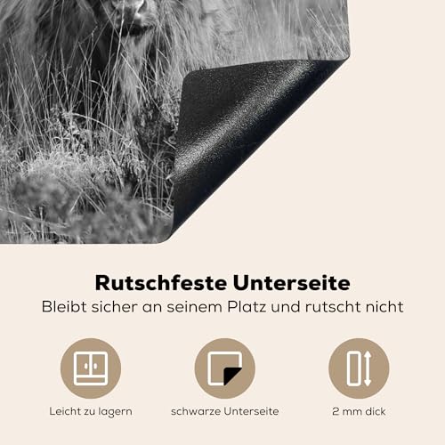 KitchenYeah© Herdabdeckplatte Einteilig Ceranfeld Abdeckplatte Küche Deko – Ansicht 4