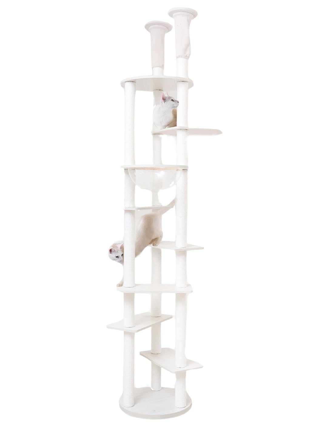 Amazon | ONEKOSAMA OINUSAMA 木製 キャットタワー ハンモック付き