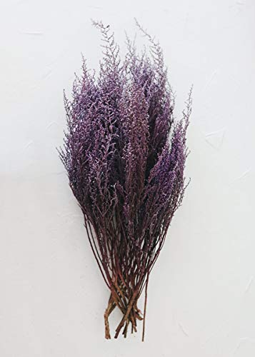 Afloral Preserved Stoebe in Violet