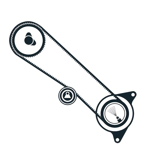 SKF VKMA 91920 Kit de distribution avec components