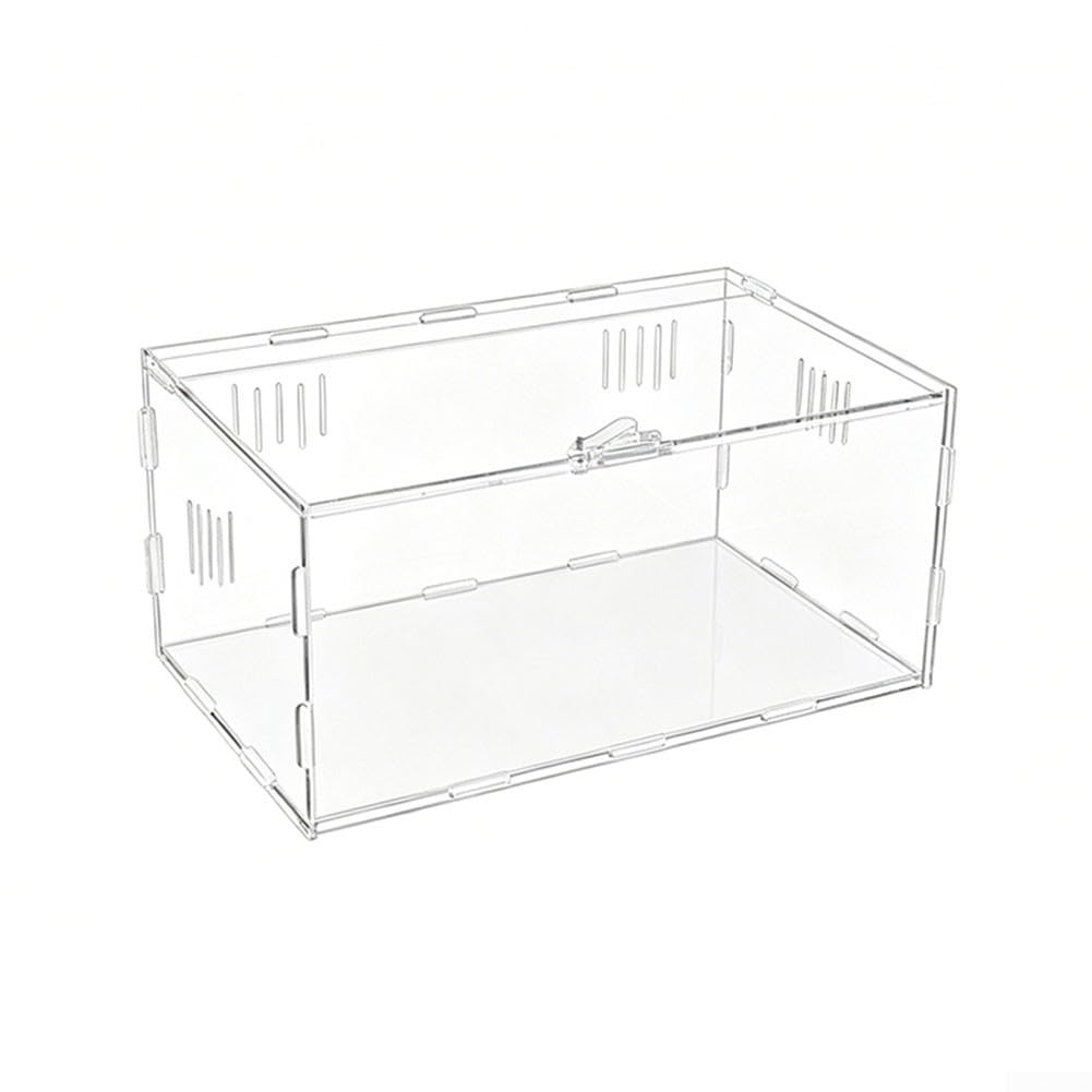 Jaula de terrario construida de acrílico con paredes transparentes, ventilación de triple lado y tapa de bloqueo para seguridad de reptiles pequeños (40 x 25 x 20 cm)