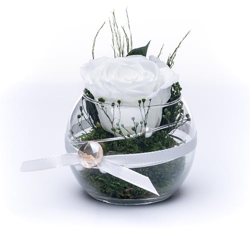 Rosen-Te-Amo Rosa eterna en tarro de cristal con aroma a rosa,...