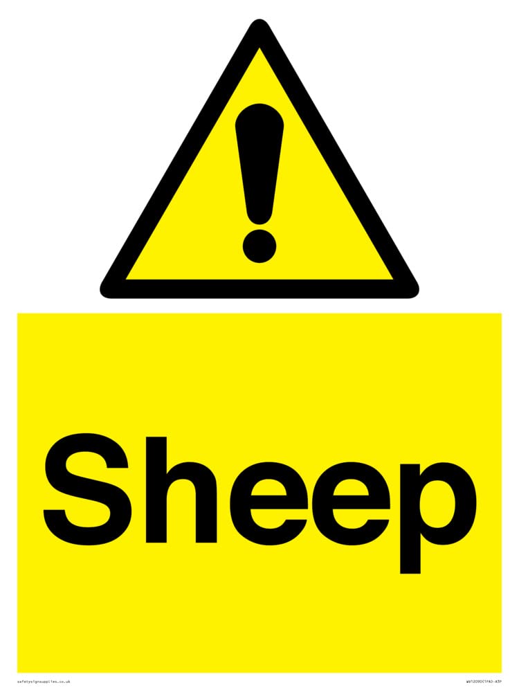 Sheep Sign - 300x400mm - A3P